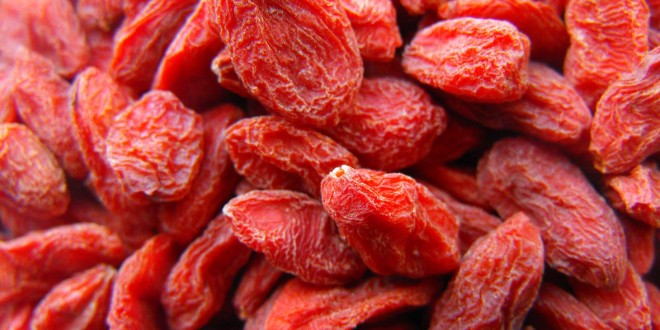 BACCHE DI GOJI